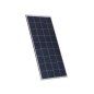 Módulo Fotovoltaico Policristalino 160W EMS 160P
